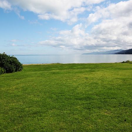 Te Puru Beach Lodge Bagian luar foto